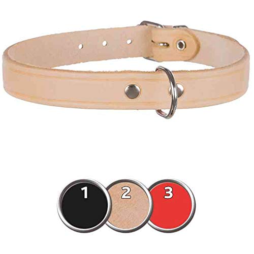 Serie TRIXIE Basic piel collar correa ramal y acoplador para perros [3 colores]