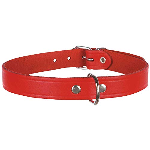 Serie TRIXIE Basic piel collar correa ramal y acoplador para perros [3 colores]