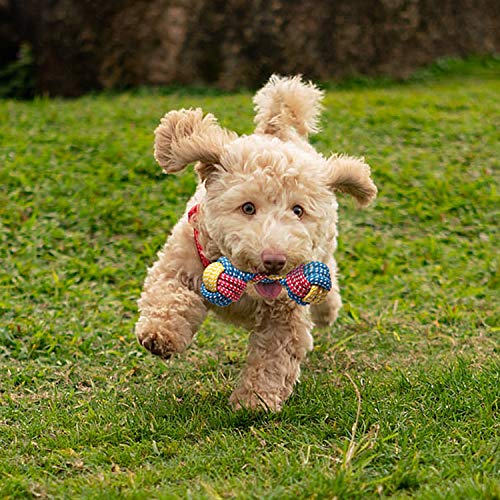 Toozey Juguetes para Perros - 7 Piezas de Juguetes duraderos para Perros para Cachorros/Perros pequeños - Juguete masticable y chirriante con Bolsa interactivos - algodón Natural y no tóxico