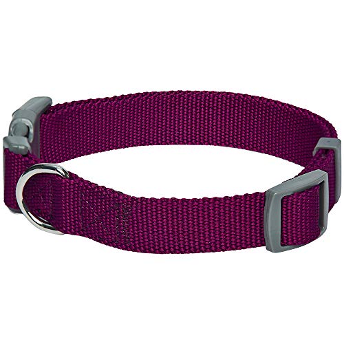 Umi. Essential Classic - Collar para perros L, cuello 45-66 cm, collares ajustables para perros (morado)