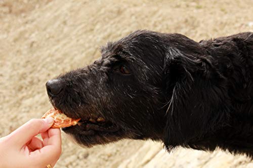 Waniyanpi Premios para Perros | Mini Pizzas con Queso sin Lactosa y Tomate Natural - 150g