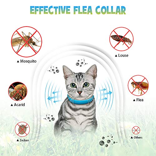 WOLFWILL Collar de Pulgas y Garrapatas para Gato,Acción Prolongada 10 Meses de Protección y Prevención contra Pulgas Garrapatas,Piojos,Talla Única para Todos,Ajustable, Impermeable