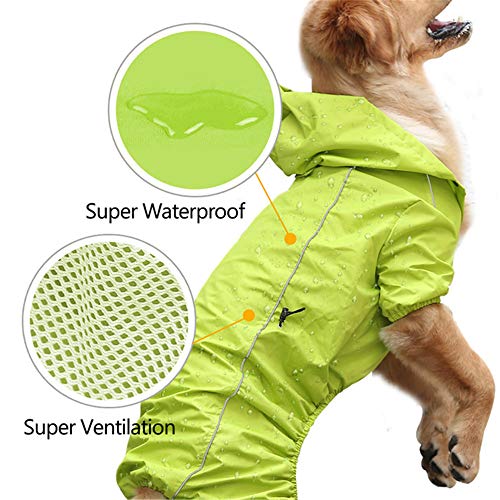 Zhyaj Chubasquero para Perros Pequeños Impermeable Ajustable con Correa De Resorte, Impermeable para Perros con Capucha, Ultra-Light Transpirable 100% Impermeable Chaqueta para Lluvia,Verde,L