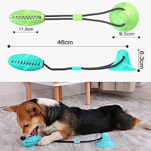 AFFINEST Pelota de Juguete para Perros con Ventosa Mascotas Multifuncional para mordedura de Molar para Mascotas Pet Molar Bite Toy,B Azul