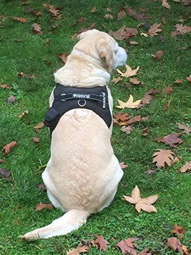 Arnés con Bolsillo para Perros medianos y Grandes de Kippy | Ajustable, Resistente al Agua y Lavable, Comodidad Duradera | Incluye Bolsa para Llevar tu Kippy Vita S GPS | Disponible en Varias Tallas