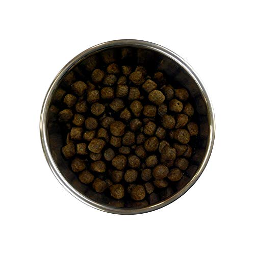 Barking Heads Comida Seca para Perros - Pooched Salmon - Salmón 100% natural sin aromas artificiales, Ayuda a mejorar la salud de la piel y el pelo, 2 kg