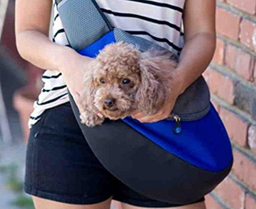 BIGWING Style-Bolso Bandolera para Llevar Perrito/Gatito/Mascota Portable Todo en Uno, Azúl Pequeño