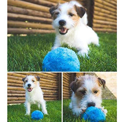 Chidi Toy Magic Roller Ball, 2-en-1 función de la Bola del Juguete eléctrico del Animal doméstico con 4 Cubiertas de Lana para Perro Gato Mascota, Juguetes educativos para Mascotas Mascota Bola mágic