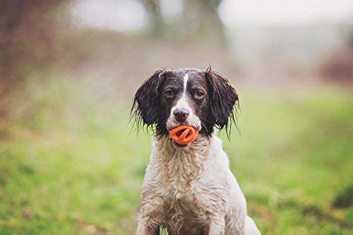 Chuckit! CU31932 Pelota Breathe Right Fetch Ball Medium, Bola De Entrenamiento para Perros, M