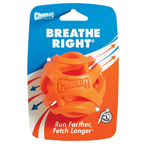 Chuckit! CU31933 Pelota Breathe Right Fetch Ball Large, Bola De Entrenamiento para Perros, L