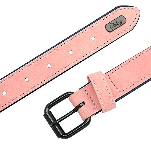 Didog - Collar de piel suave acolchada personalizable para perro, chapa de nombre, anilla en D, collar grabado para perro, tamaños pequeño, mediano y grande