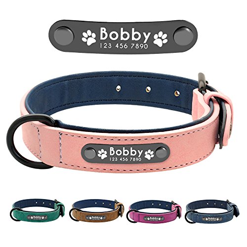 Didog - Collar de piel suave acolchada personalizable para perro, chapa de nombre, anilla en D, collar grabado para perro, tamaños pequeño, mediano y grande