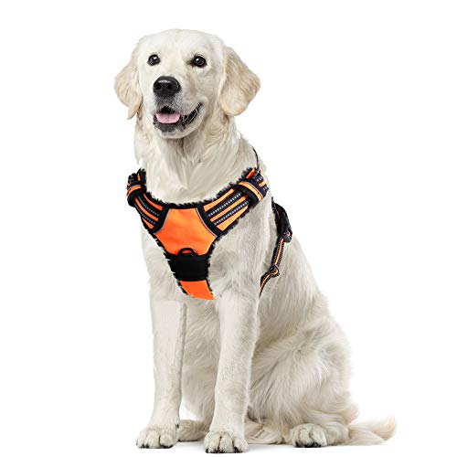 Eagloo Arnes de Perro Antitirones Cómodo Chaleco Ajustable Correa al Cuello y Pecho para Perros Labrador Material Duradero Transpirable con Cinta Reflectante Adaptarse a Ejercer Externo XL/Naranja