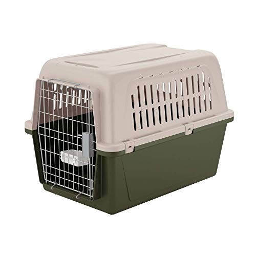 Ferplast Transportín para Perros de Talla Grande Atlas 50 Classic, con comedero, Puerta de Acero plastificado, Sistema de Cierre de Seguridad, Rejillas de ventilación, 55,5 x 81 x h 58 cm Verde