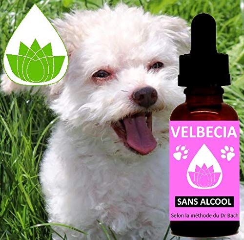 Flores de Bach para perros y ladridos excesivos sin alcohol Velbecia 30 ml – Mezcla de flores de Bach Original para mantener su calma, reducir la repetición de ladridos y ser menos defensiva