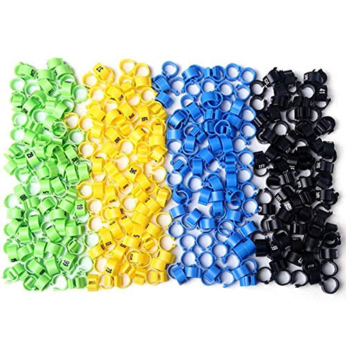 Gohigh, 100 Unidades de Anillos de plástico numerados para Patas de pájaro, para Aves de Corral, Loro, Pollitos, Paloma