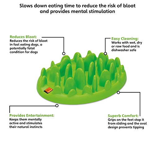 GREEN Interactive Feeder