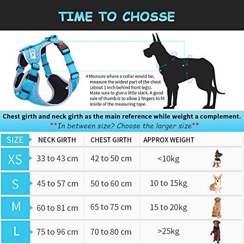 HAPPY HACHI Arnes Perro Chalecos Reflectantes Perros Pequeño Mediano Grande Ligero con Mango Nylon para Caminar Entrenamiento(L Azul)