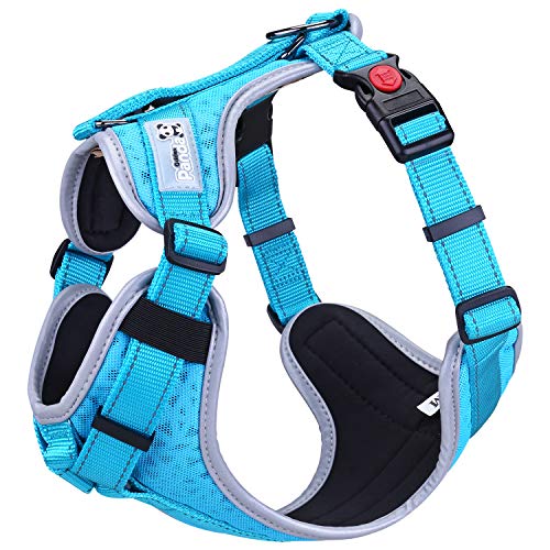 HAPPY HACHI Arnes Perro Chalecos Reflectantes Perros Pequeño Mediano Grande Ligero con Mango Nylon para Caminar Entrenamiento(L Azul)