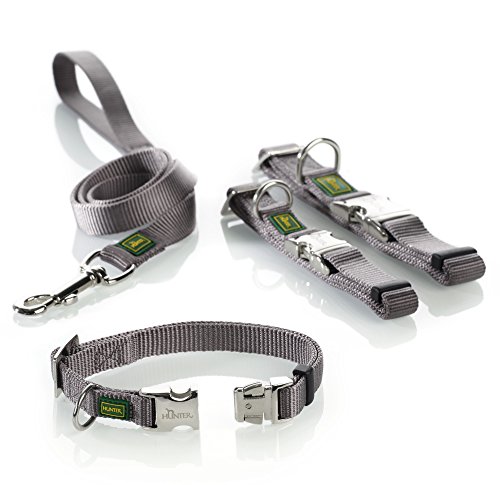 HUNTER Collar de Perro P