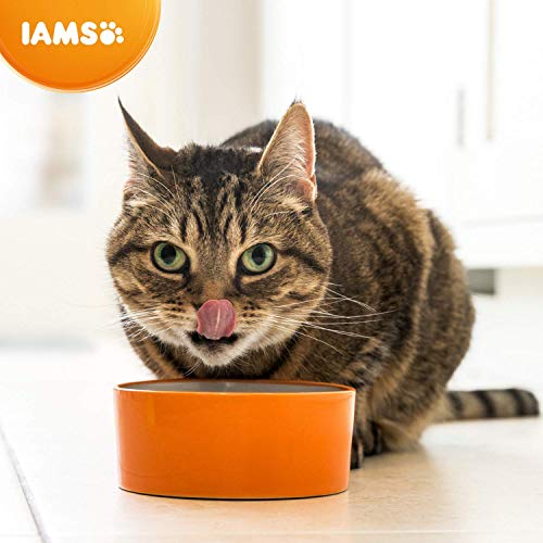 IAMS for Vitality Cat Food for Hairball Control with Fresh Chicken, 3 kg