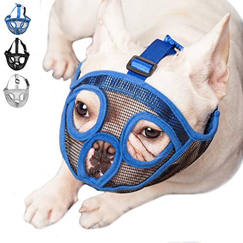 ILEPARK Bozal para Perros de Hocico Corto, Bozal Anti-Mordiscos y Ladridos, Máscara para Perros (M,Azul)