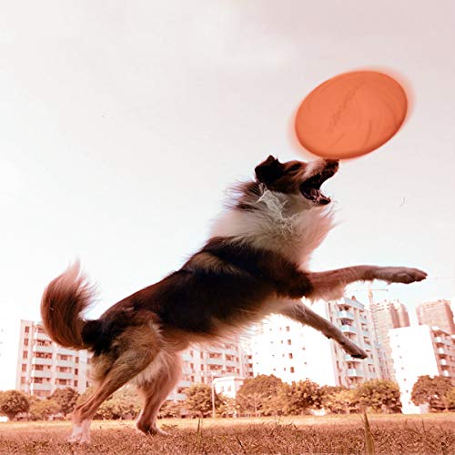 JIeGuanG Frisbee, Juguete de Goma elástica para Mascotas para Perros y Gatos pequeños, medianos, Color Naranja