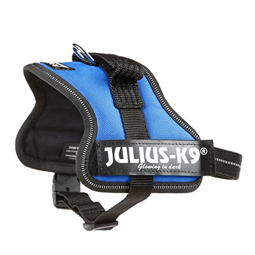 Julius-K9 Mini-Mini, 40-53 cm, Azul