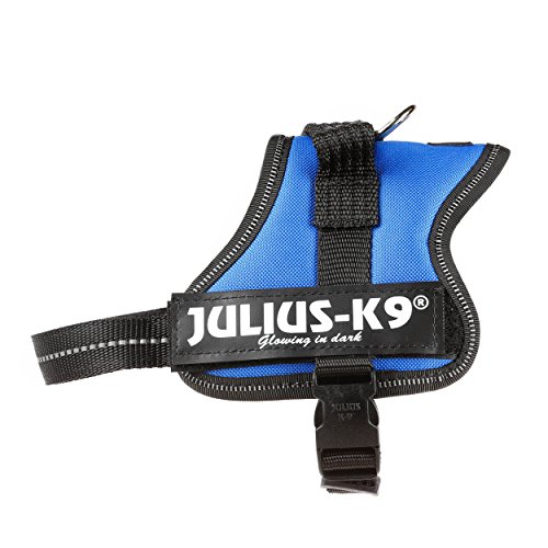 Julius-K9 Mini-Mini, 40-53 cm, Azul