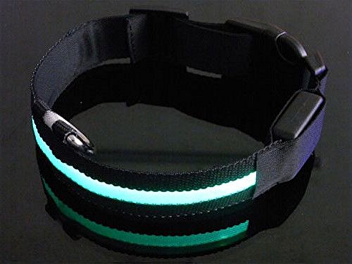 Mejor Perro Visibilidad y Seguridad – USB Batería LED Perro Seguridad Collar – Ultrabrillante LED de Pilas – se Conecta a Dispositivos – tu Perro es más Visible y Seguro (Negro Extra Grande)