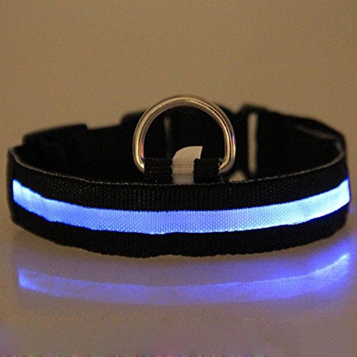 Mejor Perro Visibilidad y Seguridad – USB Batería LED Perro Seguridad Collar – Ultrabrillante LED de Pilas – se Conecta a Dispositivos – tu Perro es más Visible y Seguro (Negro Extra Grande)