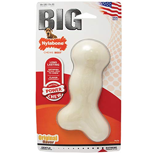 Nylabone Hueso Galileo, tamaño Mediano