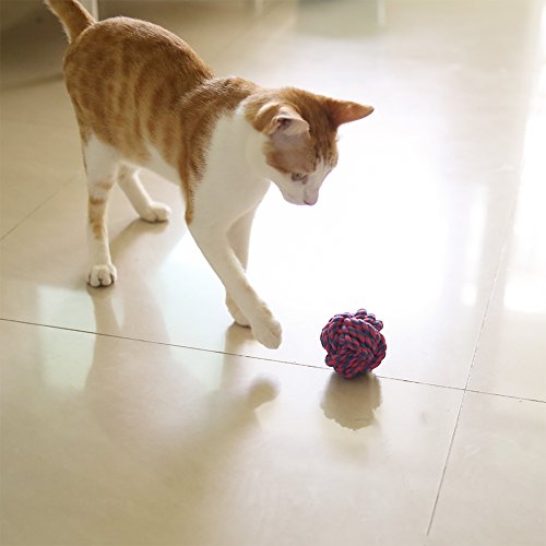 Pelota de juguete con cuerda para perro, pack de 2 bolas trenzadas de algodón para limpiar los dientes de los perros