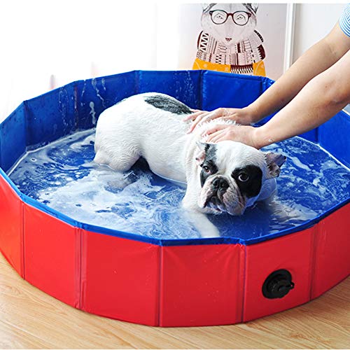 Piscina para Mascotas De Perros Y Gatos, Plegable, Grande, Multifunción, Bañera De PVC, Baño Al Aire Libre, Piscina De Bolas para Niños, Rojo (XL: 120X30 Cm)