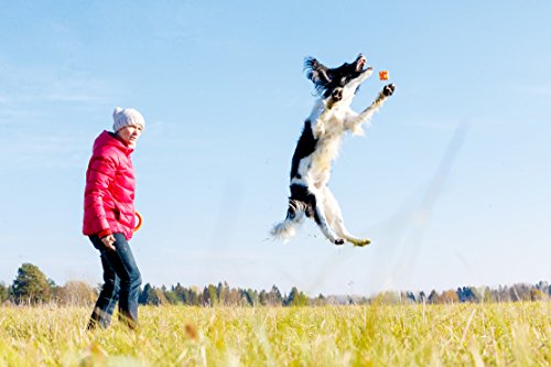 PlayfulSpirit Pelota de Goma Resistente y con Rebote: Juguete de Masticar para Cachorros en Dentición, Juguete Impresionante para Perros más Pequeños y Medianos para Jugar, Lanzar y Atrapar