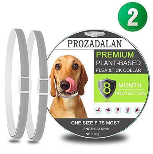 PROZADALAN Collar Antiparasitario para Perros, Impermeable, Diseño Impermeable y 8 Meses, Eficaz, Natural para Pequeños Animales Domésticos de Tamaño Mediano