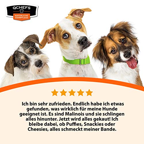 QCHEFS Puffed Sticks | comida para perros | contra el mal aliento | limpieza dental | bienestar para alérgicos | aliento y la placa