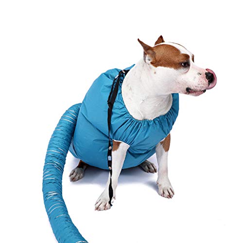 RISTHY Secador de Cabello para Mascotas–Ropa para Perros Accesorios para Secar Perros y Gatos Secado de Su Perro Gato en Minutos Después del Baño (Azul)