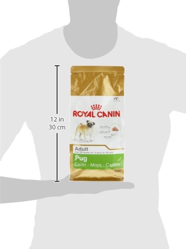 ROYAL CANIN Pug - Comida para Perros Adultos, 0,5 kg