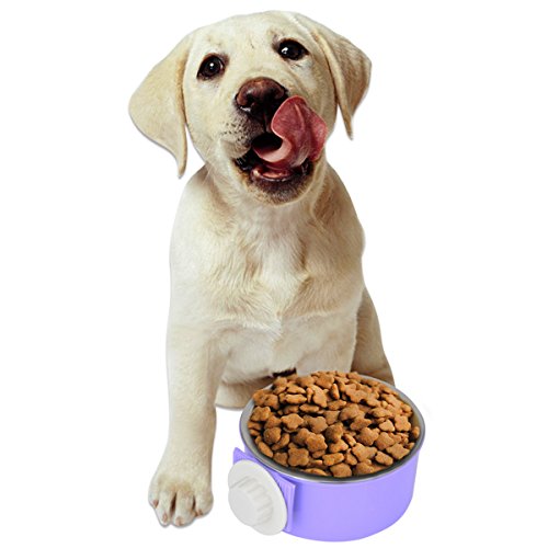 ShareWe Cuencos para Perro Gato Animal Mascotas Acero Inoxidable Platos 2 en 1 Colgando Cuenco Comedero para Gatos Perros Conejos Pequeño Animal Comida y Agua (Violeta)