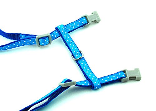 SMALLLEE_LUCKY_STORE Arnés Correa y Collar Ajustable de Lunares para Gato Correa de Paseo para Perro Pequeño Gatos y Conejos Azul