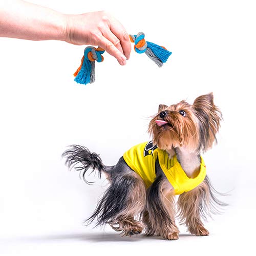 Toozey Juguetes para Perros Pequeños Juguete Cachorros- 7 Piezas de Juguetes para Perros Resistentes para Cachorros/Perros pequeños - Juguete masticable y chirriante Interactivos - algodón natural