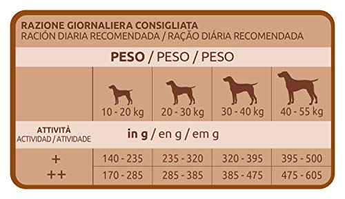 Ultima pienso para Perro Medium-Maxi Senior con pollo, pack de 3 x 3 kg - Total 9 kg