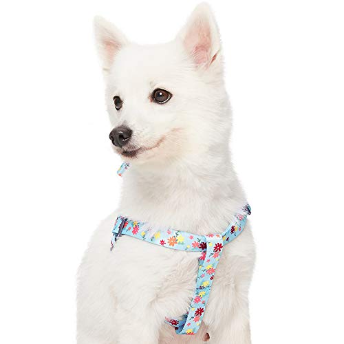 Umi. by Amazon - Made Well - Arnés para perros con estampado de flores S, contorno del pecho 42-54 cm, arneses ajustables para perros (azul bebé)