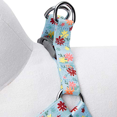 Umi. by Amazon - Made Well - Arnés para perros con estampado de flores S, contorno del pecho 42-54 cm, arneses ajustables para perros (azul bebé)