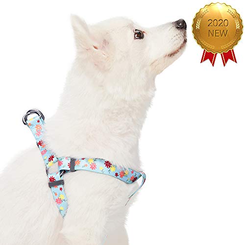 Umi. by Amazon - Made Well - Arnés para perros con estampado de flores S, contorno del pecho 42-54 cm, arneses ajustables para perros (azul bebé)