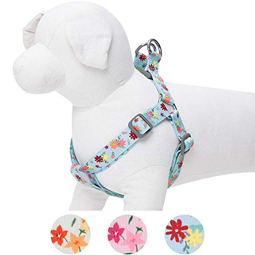 Umi. by Amazon - Made Well - Arnés para perros con estampado de flores S, contorno del pecho 42-54 cm, arneses ajustables para perros (azul bebé)