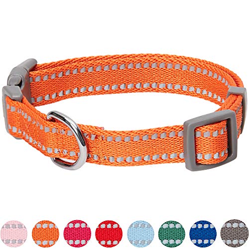 Umi. by Amazon - Pastel - Collar para perros L, cuello 45-66 cm, collares ajustables para perros (naranja calabaza)