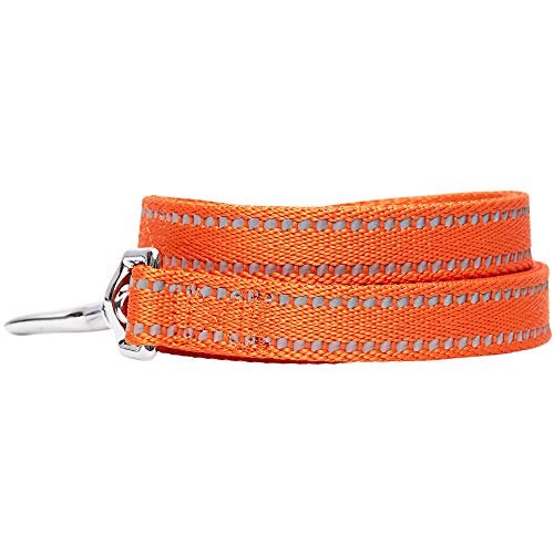 Umi. by Amazon - Pastel - Correa resistente para perros reflectante L, 120 x 2,5 cm, correas para perros (naranja calabaza)