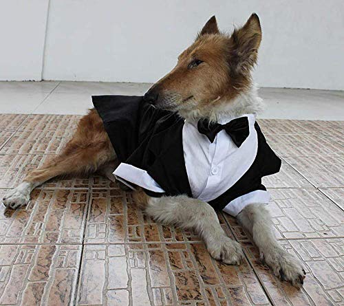 VISTANIA La Ropa Grande del Traje De Boda del Perro, Smoking Grande del Perro Disfraza Los Trajes Formales del Partido, El Perro Perdiguero De Oro Apto, Pitbull, Labrador, Samoyedo,XL